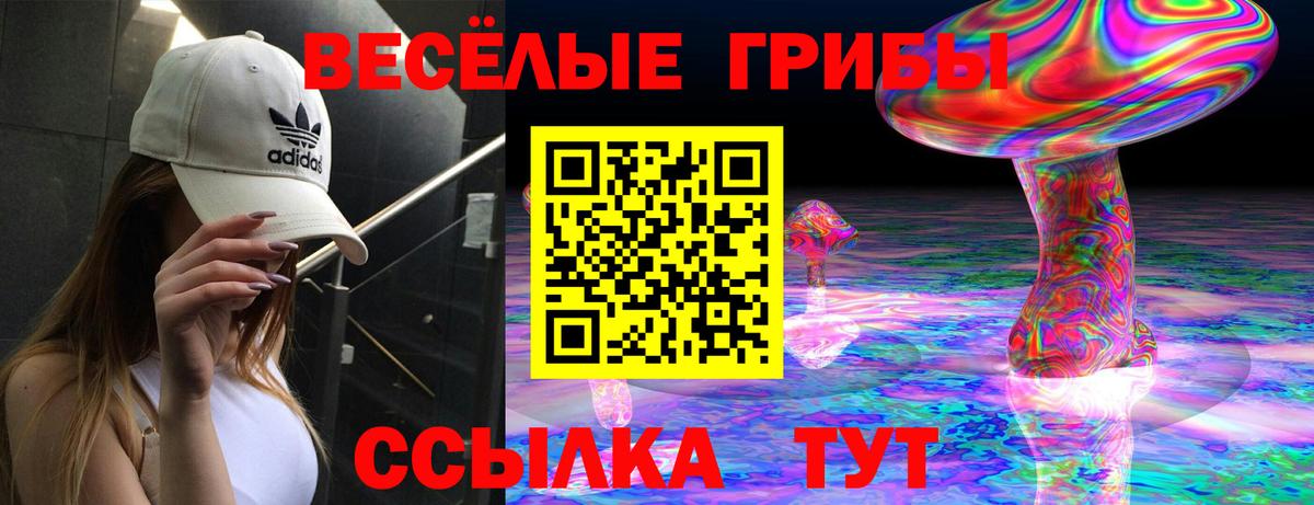Псилоцибиновые грибы MAGIC MUSHROOMS  Вход с VPN  Коломна 